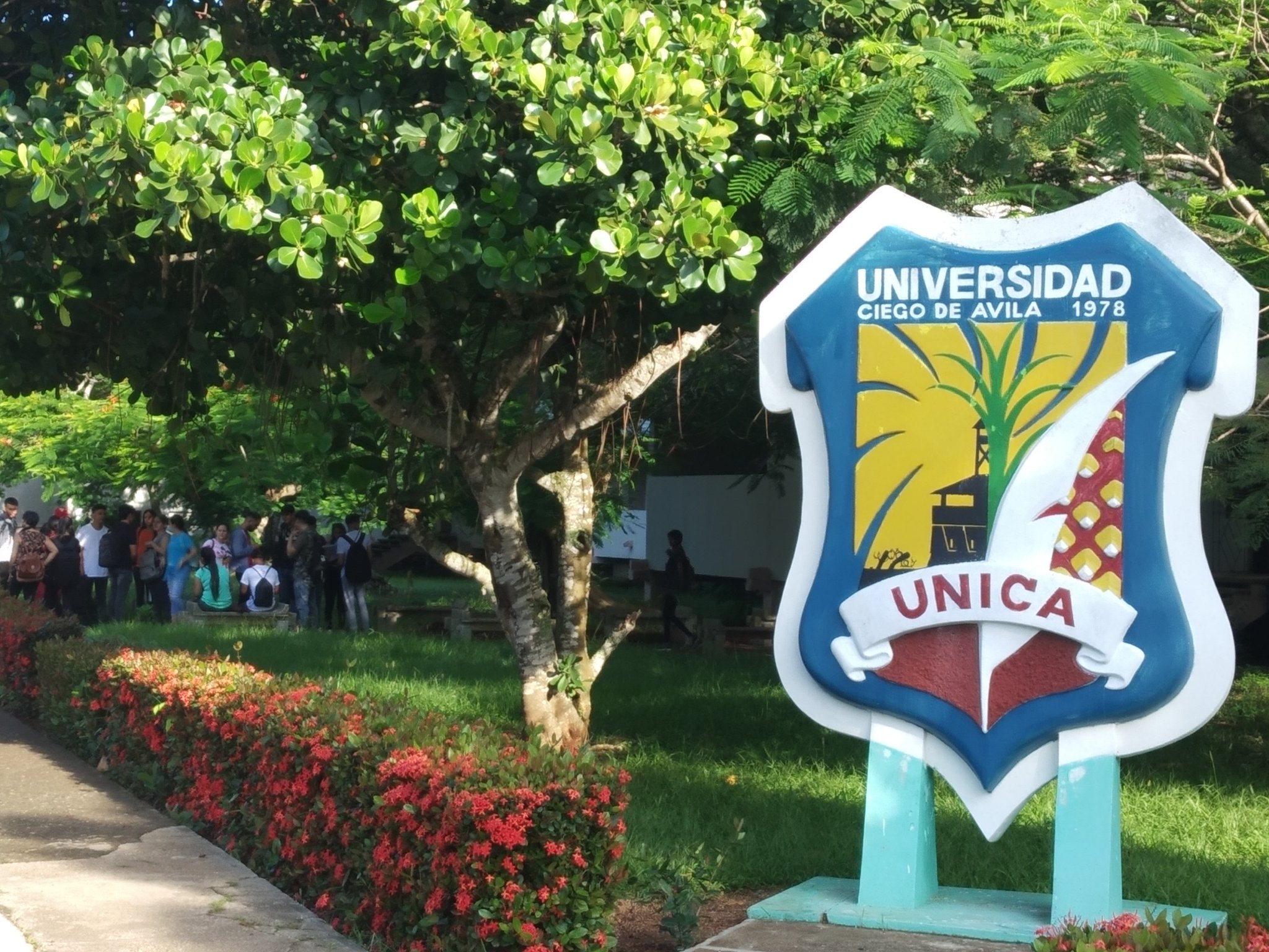 En este momento estás viendo Convoca Universidad de Ciego de Ávila a sembrar 100 árboles por el Centenario de la FEU