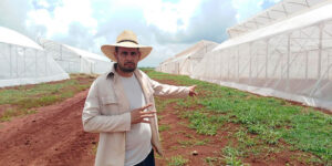 Lee más sobre el artículo Instalan modernas casas de cultivo en Ciego de Ávila