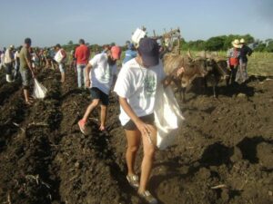 Lee más sobre el artículo Acoge polo productivo de Majagua a jóvenes vacacionistas (+Fotos)