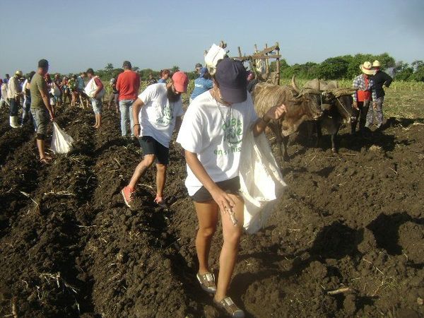 Lee más sobre el artículo Acoge polo productivo de Majagua a jóvenes vacacionistas (+Fotos)