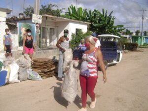 Lee más sobre el artículo Efectúan en Majagua festivales de recolección de materia prima  (+Fotos)