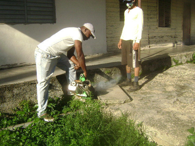 En este momento estás viendo Aedes aegypti mosquito infestation rate increases in Majagua