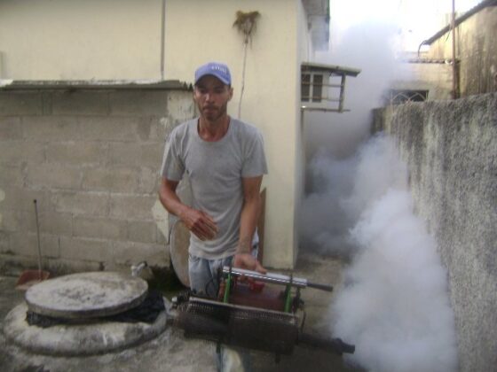 En este momento estás viendo Majagua reduces dengue infestation level