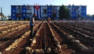 Lee más sobre el artículo Sede Ciego de Ávila del noveno Encuentro Nacional de Economía Agropecuaria