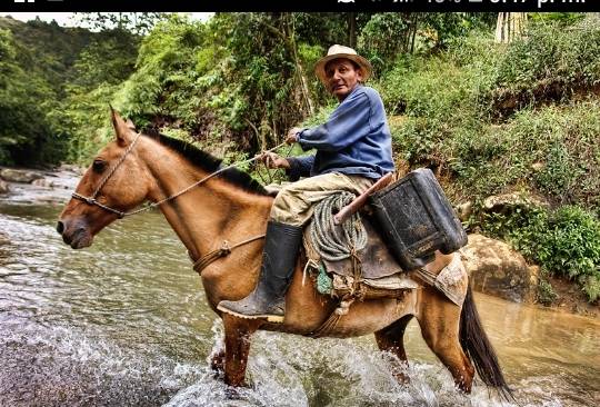 Lee más sobre el artículo Coger el monte