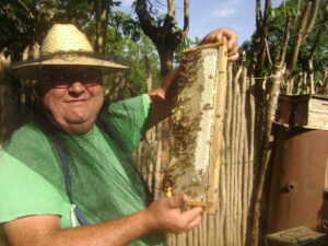 Lee más sobre el artículo Aprovechar la floración, propósito de apicultores de Majagua