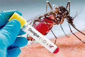 Lee más sobre el artículo Dengue considered as a complex situation