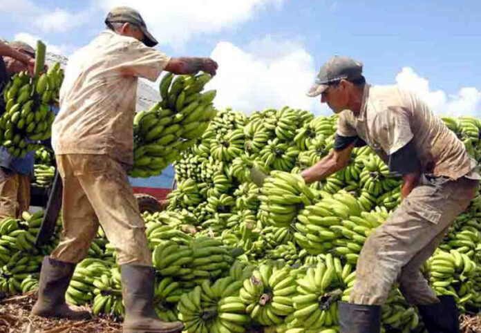 Lee más sobre el artículo Solidarity from Ciego de Ávila reaches western Cuba