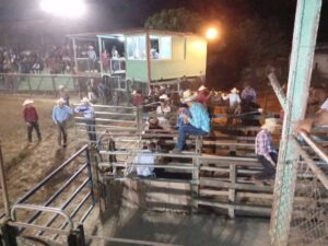 Lee más sobre el artículo Efectúan en Ciego de Ávila Semifinal Nacional de Rodeo