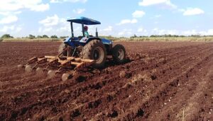 Lee más sobre el artículo Debatirán sobre producción de alimentos en Ciego de Ávila