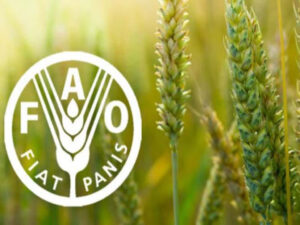 Lee más sobre el artículo Cuba y Haití exponen en Panamá proyectos de seguridad alimentaria