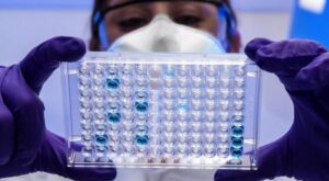 Lee más sobre el artículo Científicos rusos revelan el patrón de los nuevos coronavirus
