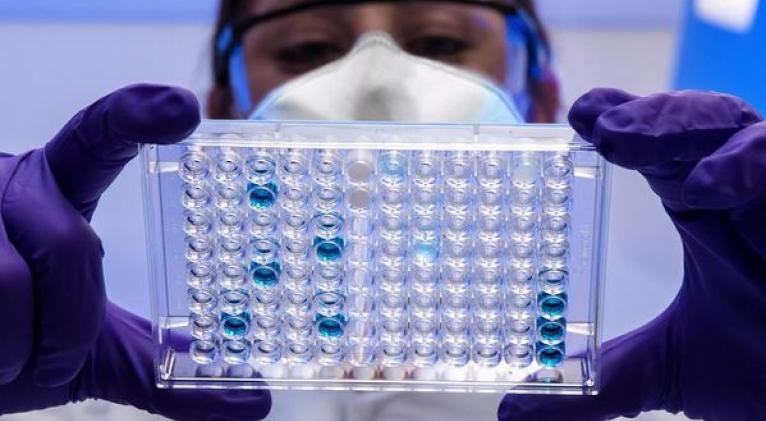 Lee más sobre el artículo Científicos rusos revelan el patrón de los nuevos coronavirus