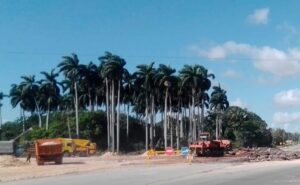 Lee más sobre el artículo Initial phase of the traffic circle in the east of the city of Ciego de Ávila concluded