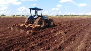 Lee más sobre el artículo Food production to be discussed in Ciego de Ávila