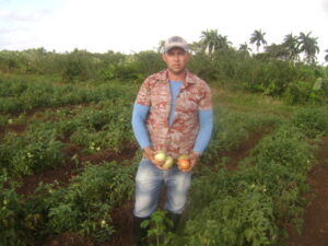 Lee más sobre el artículo Mamonal producers defend their tomato growing tradition