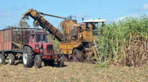 Lee más sobre el artículo Chequean en Morón marcha de la zafra azucarera