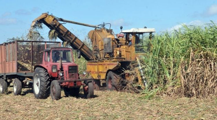 Lee más sobre el artículo Chequean en Morón marcha de la zafra azucarera