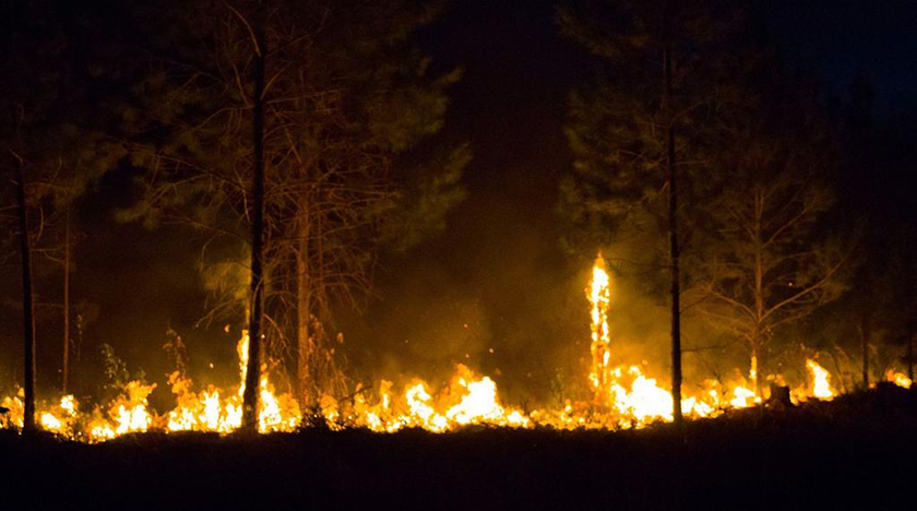 En este momento estás viendo Presidente cubano sigue atento la lucha contra incendio forestal