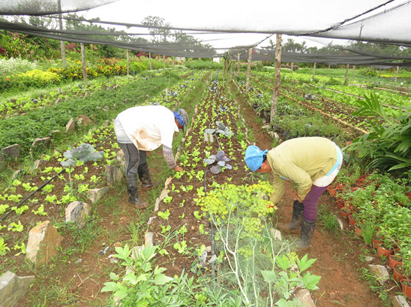 En este momento estás viendo Abrir puertas a la agroecología