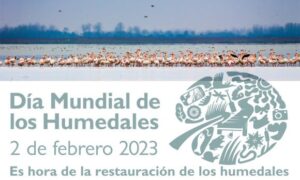 Lee más sobre el artículo Día Mundial de los Humedales: Conservar, restaurar y revitalizar ecosistemas vitales para la humanidad