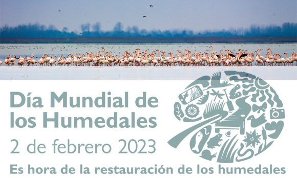 Lee más sobre el artículo Día Mundial de los Humedales: Conservar, restaurar y revitalizar ecosistemas vitales para la humanidad