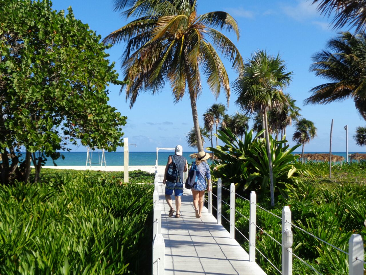 En este momento estás viendo Conservan playas arenosas en Jardines del Rey (+Fotos)