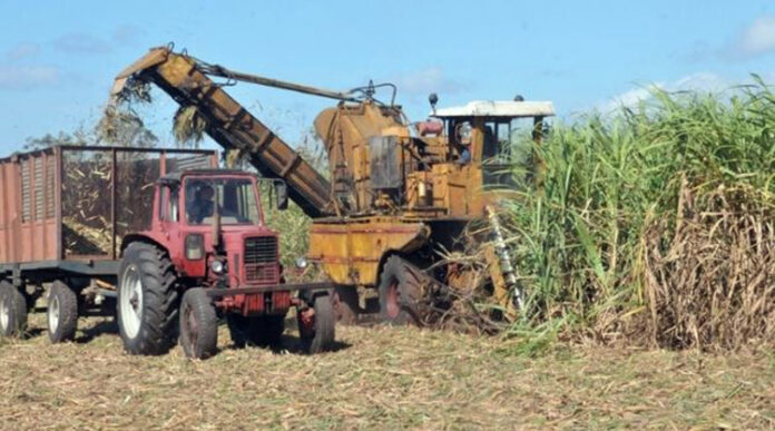 En este momento estás viendo March of the sugar harvest checked in Morón