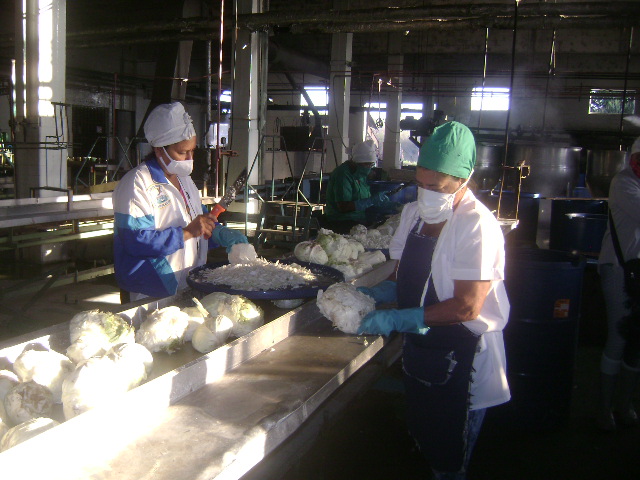 Lee más sobre el artículo Diversifica sus producciones fábrica de Majagua (+Fotos)