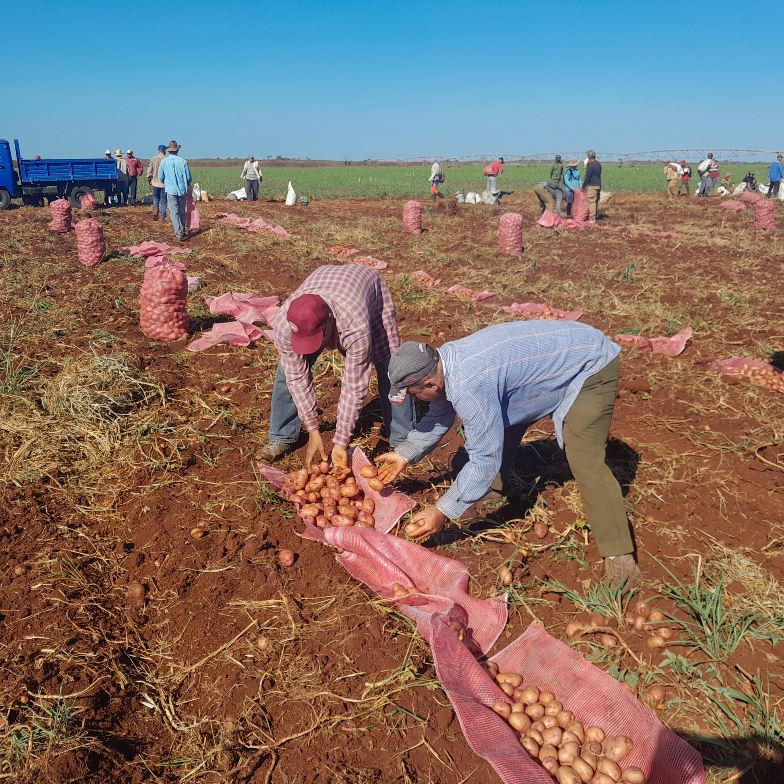 Lee más sobre el artículo Comenzó este domingo en Ciego de Ávila jornada proletaria por el Primero de Mayo