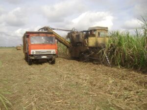 Lee más sobre el artículo Enfrenta la zafra a buen ritmo equipo de corte mecanizado de Majagua