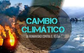 Lee más sobre el artículo Reconocen en Ciego de Ávila impactos del cambio climático a la biodiversidad