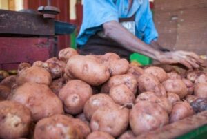 Lee más sobre el artículo Presence of potatoes in Avilanian markets