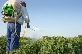 Lee más sobre el artículo Impulsan la ciencia y la innovación en la agricultura