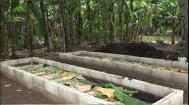 Lee más sobre el artículo They take advantage of the benefits of the local development project