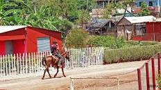 Lee más sobre el artículo Gana colectivo de la CPA Paquito González acto provincial en Ciego de Ávila por el Día del Campesino