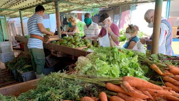 productos-agropecuarios