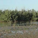 Abogan por mayor conservación de áreas protegidas