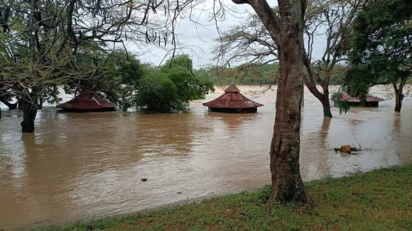 En este momento estás viendo Las lluvias benefician y perjudican