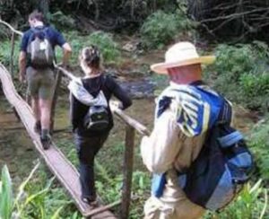 Lee más sobre el artículo Implementarán modelos para el fortalecimiento de la biodiversidad y el turismo