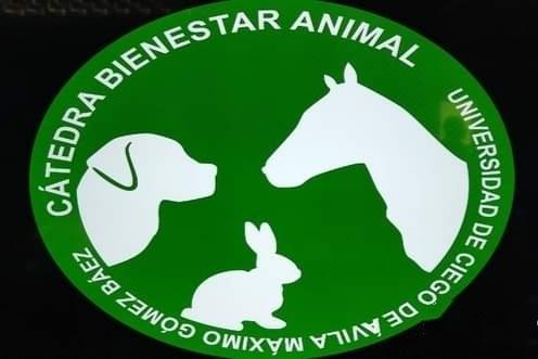 En este momento estás viendo Crean Cátedra de Bienestar Animal en universidad avileña