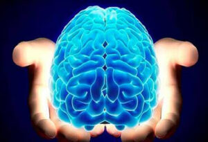 Lee más sobre el artículo Celebran Día Mundial del Cerebro