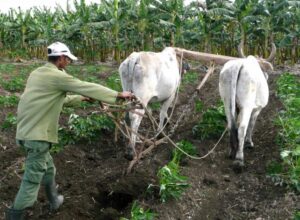 Lee más sobre el artículo La soberanía del campo es la de la Revolución (+ Video)