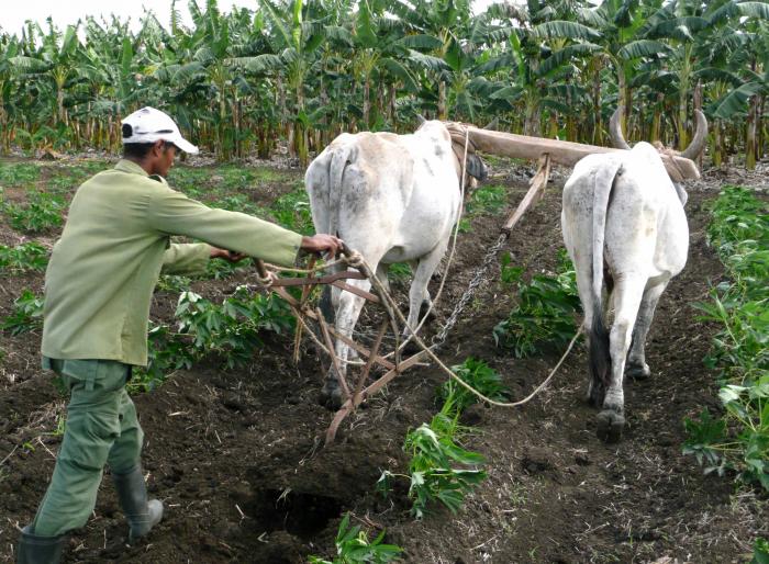 En este momento estás viendo La soberanía del campo es la de la Revolución (+ Video)