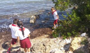 Lee más sobre el artículo Avileños se preparan para enfrentar el cambio climático