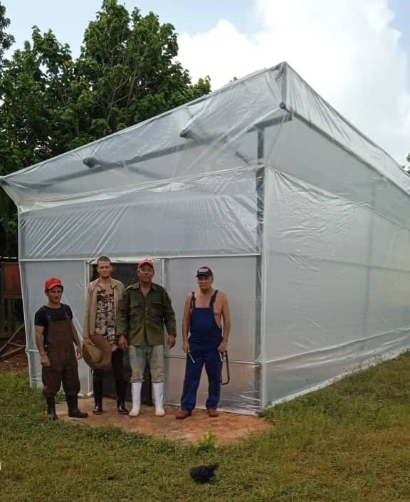 En este momento estás viendo Funciona en Ciego de Ávila una casa de secado para plantas medicinales