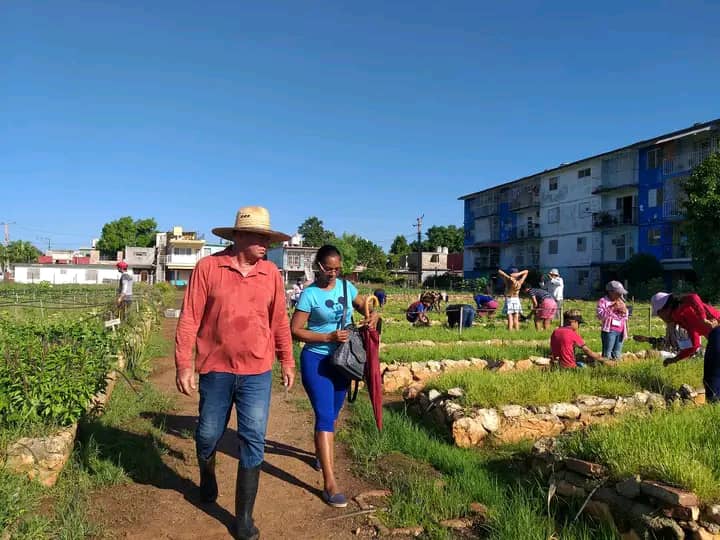 Lee más sobre el artículo Fortalecen en Ciego de Ávila la agricultura urbana