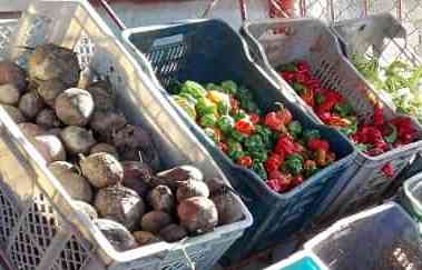 Lee más sobre el artículo New  sales system applied in Agro stores of Morón