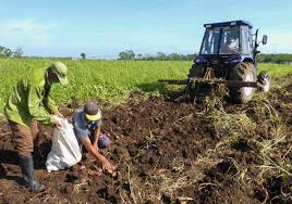 Lee más sobre el artículo Scientific project that benefits agriculture encouraged
