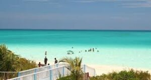 Lee más sobre el artículo Implementan acciones para conservar valores naturales en Jardines del Rey